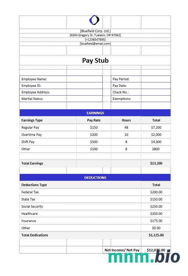 Bluefield Corp. Ltd pay stub Word and PDF template